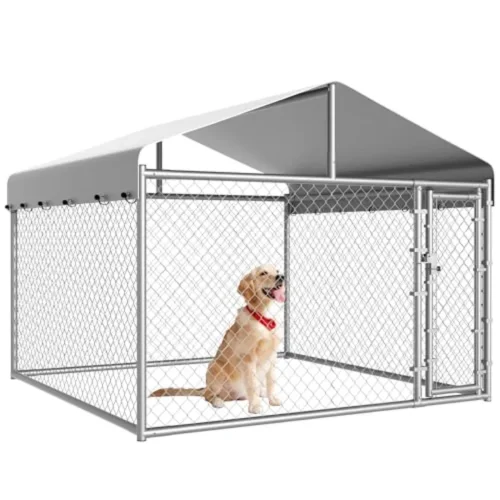 Outdoor Heavy Duty Dog Kennel
