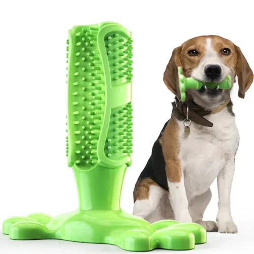 Cactus Interactive Dog Chew Toy