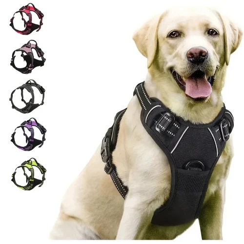 Dog Collars Harness Leash Accessories